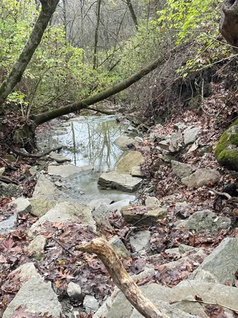 $49,900 | 18103 Us Highway, Florence, IN 47020