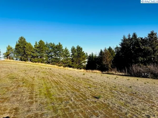 $89,000 | Tbd 10th Street, Garfield, WA 99130