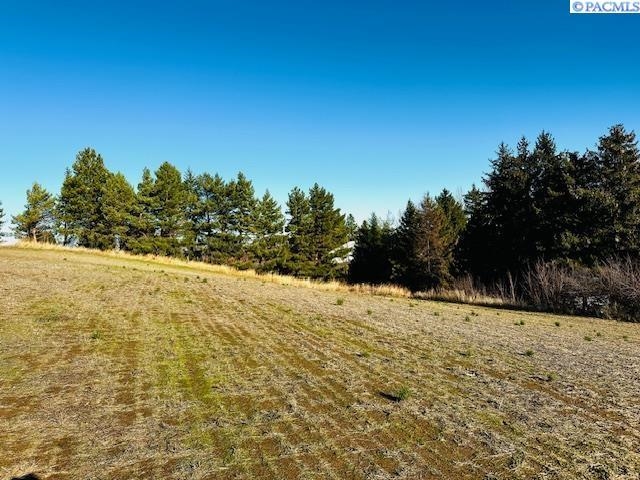 Tbd 10th Street Garfield, WA 99130 - Photo 12 of 14