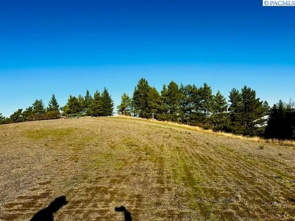 $89,000 | Tbd 10th Street, Garfield, WA 99130