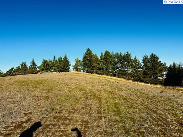 Tbd 10th Street Garfield, WA 99130 - Photo 13 of 14