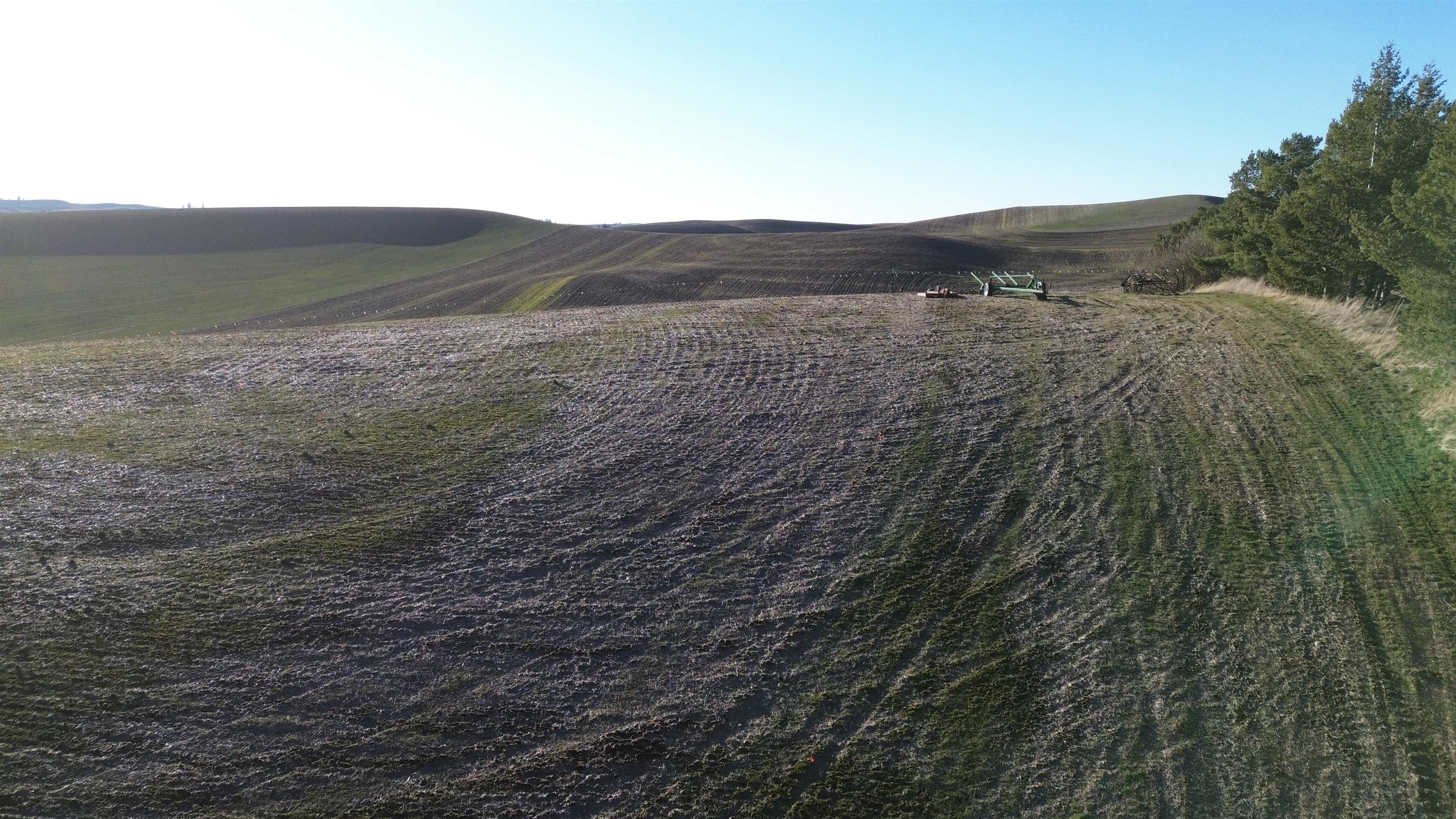 Tbd 10th Street Garfield, WA 99130 - Photo 9 of 14