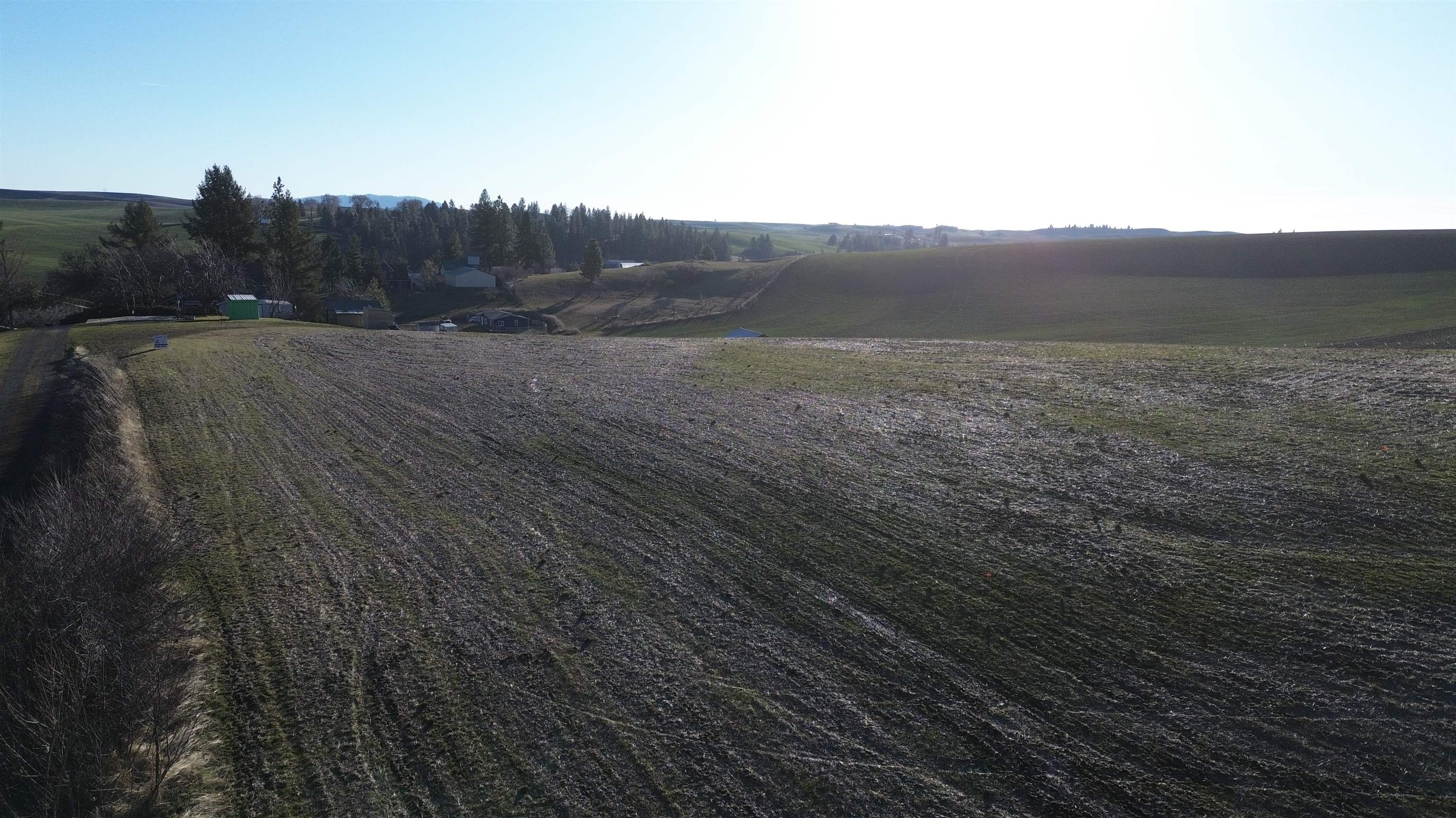 Tbd 10th Street Garfield, WA 99130 - Photo 10 of 14