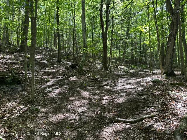 $149,999 | 811 Hervey Sunside Road, Cornwallville, NY 12418