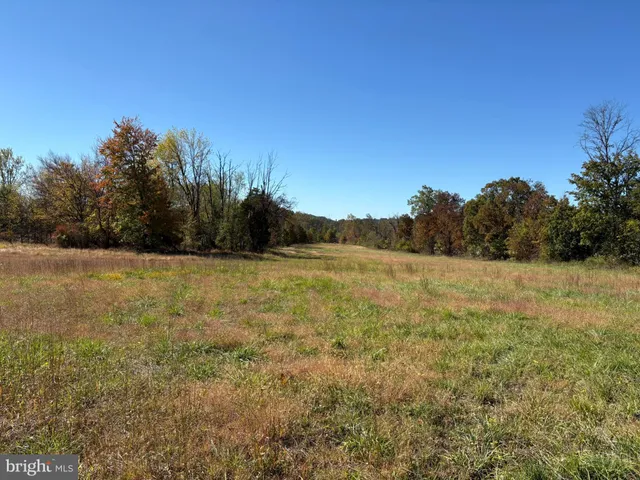 a view of a field with trees in the background