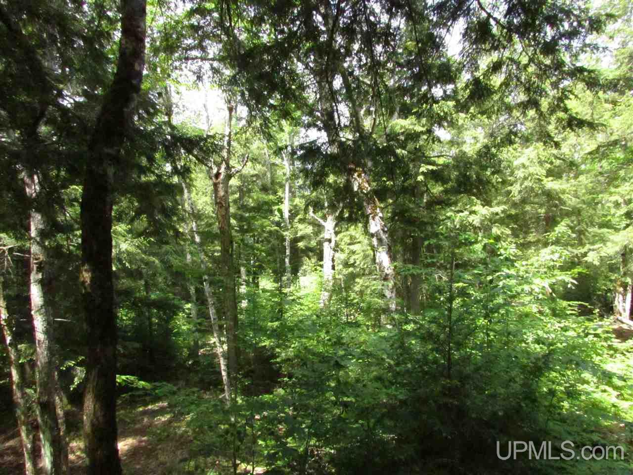 N12426 Driggs River Road Seney, MI 49883 - Photo 30 of 74 Gallery Image 30