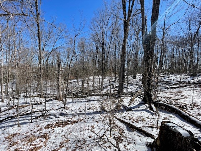 54-55 Wolf Island Road Hayward, WI 54843 - Photo 5 of 20
