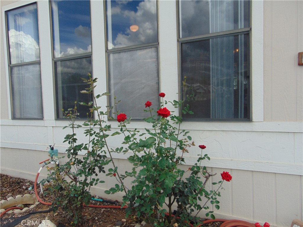 12618 3rd Street, Unit 63 Yucaipa, CA 92399 - Photo 6 of 70 roses in front