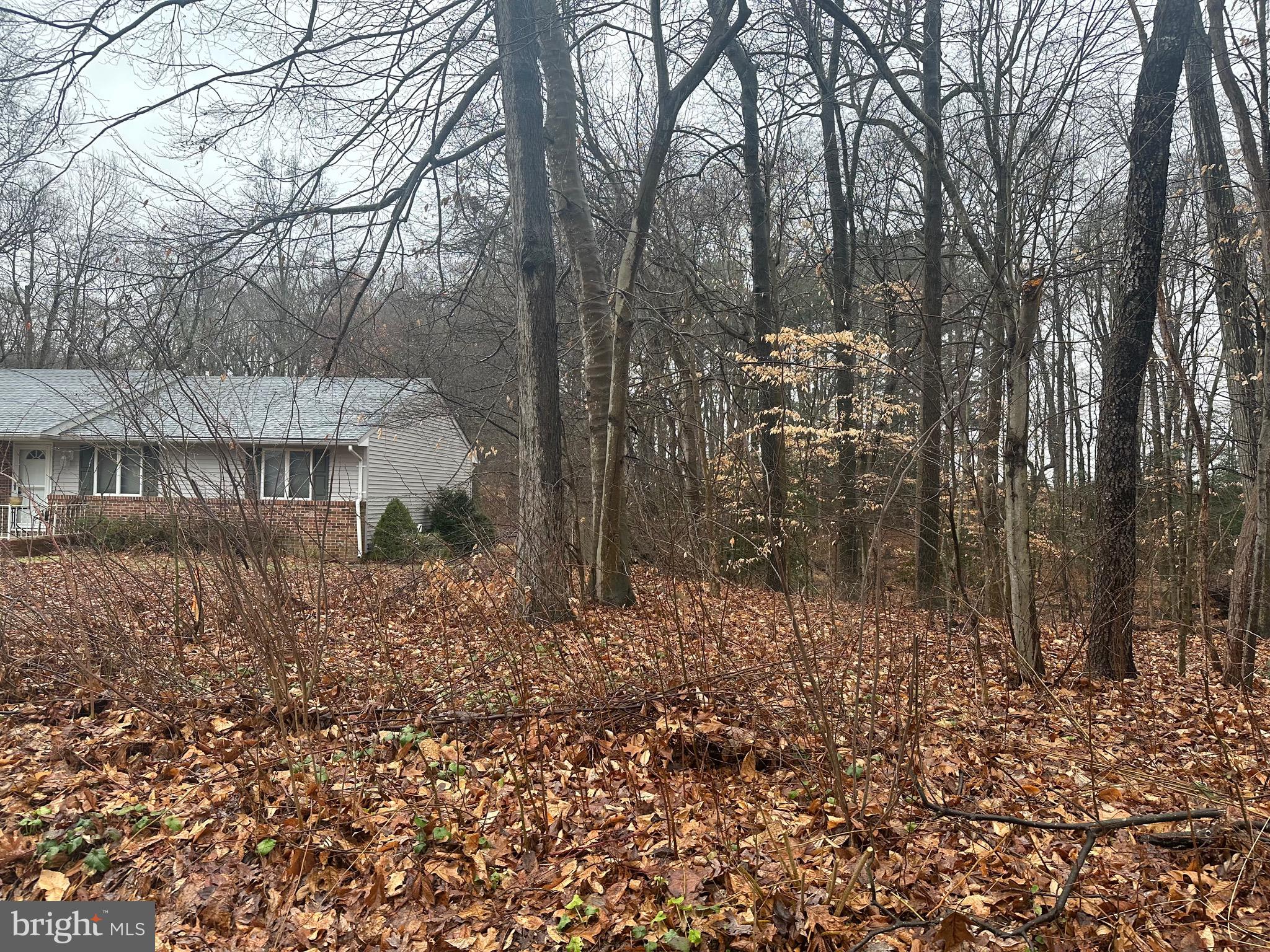 0 Pratts Branch Road, Felton, DE 19943 Compass