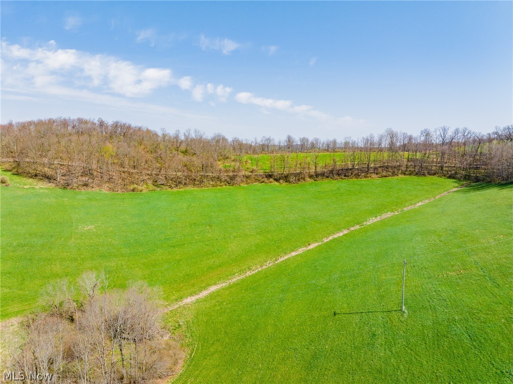 Rice Road Southwest Stone Creek, OH 43840 - Photo 5 of 7