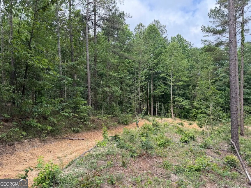 0 Mt Sinai Road, Unit LOT 1 Lula, GA 30554 - Photo 47 of 67