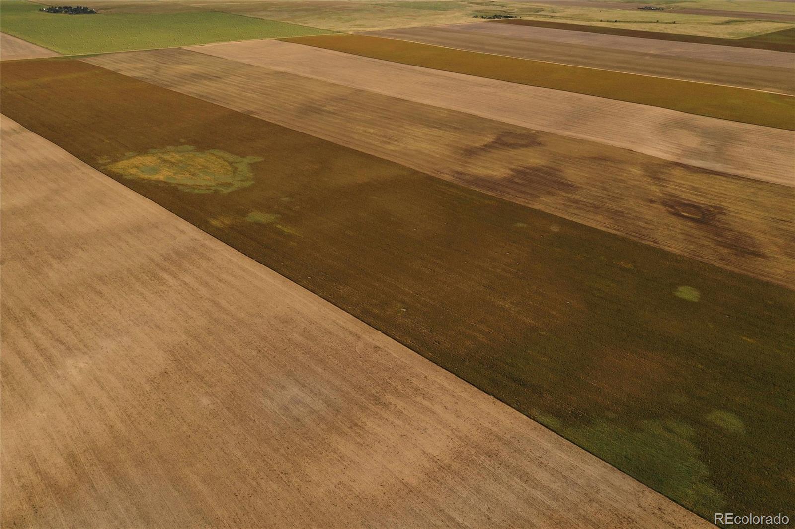 County Road Flagler, CO 80815 - Photo 3 of 4