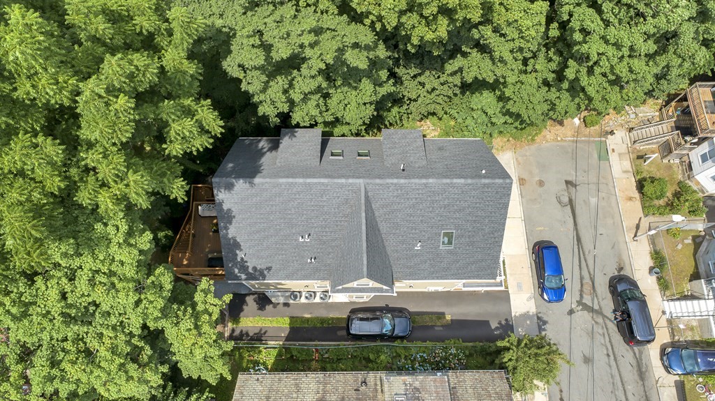 6 Cardington Street Boston, MA 02119 - Photo 3 of 42 Gallery Image 3