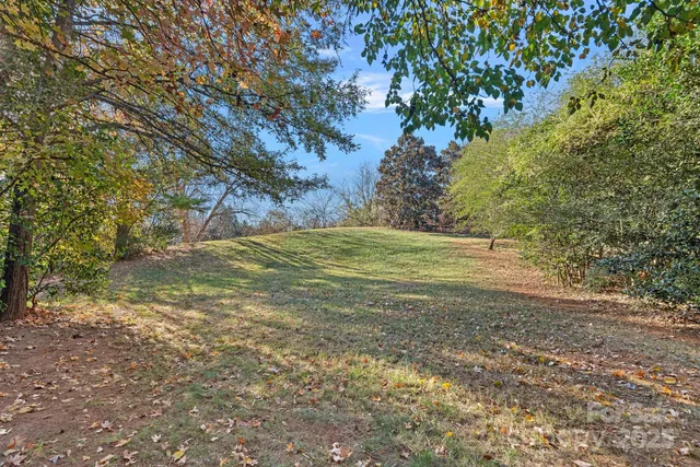 a view of a field with trees in the background