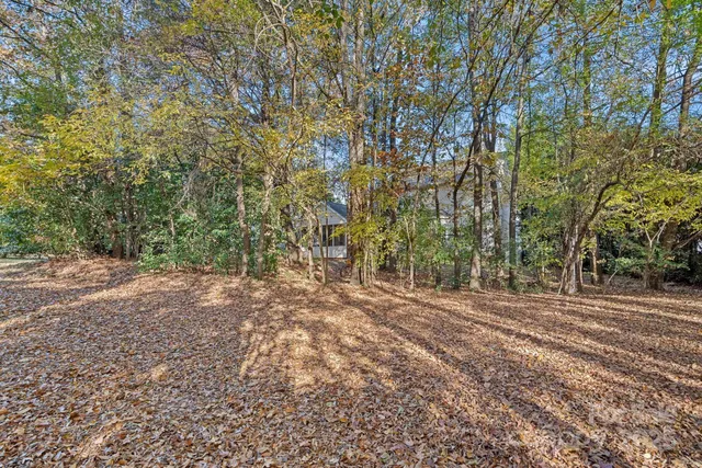 a view of a yard with a trees