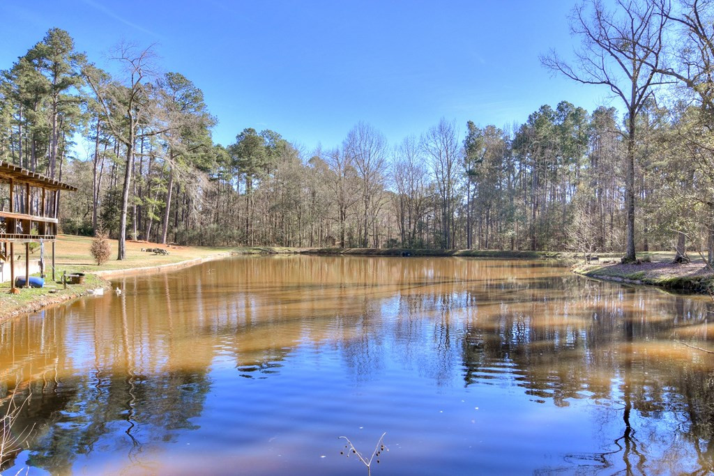 4372 Owens Road Evans, GA 30809 - Photo 50 of 59