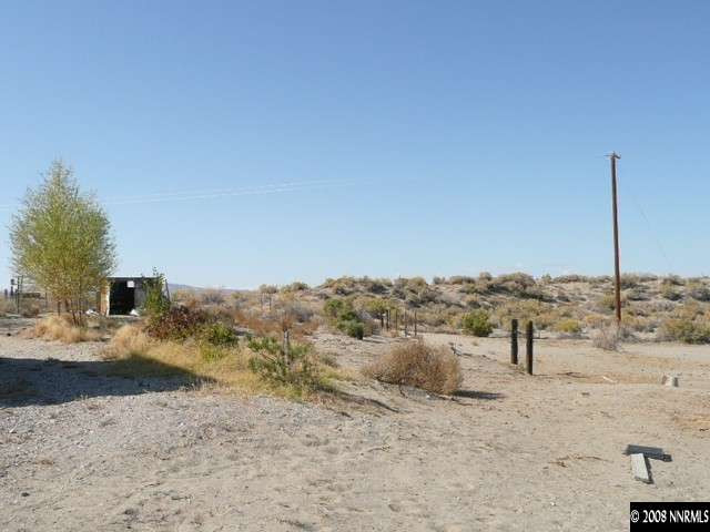 7067 Milburn Lane Fallon, NV 89406 - Photo 9 of 9 a view of a dry yard with trees
