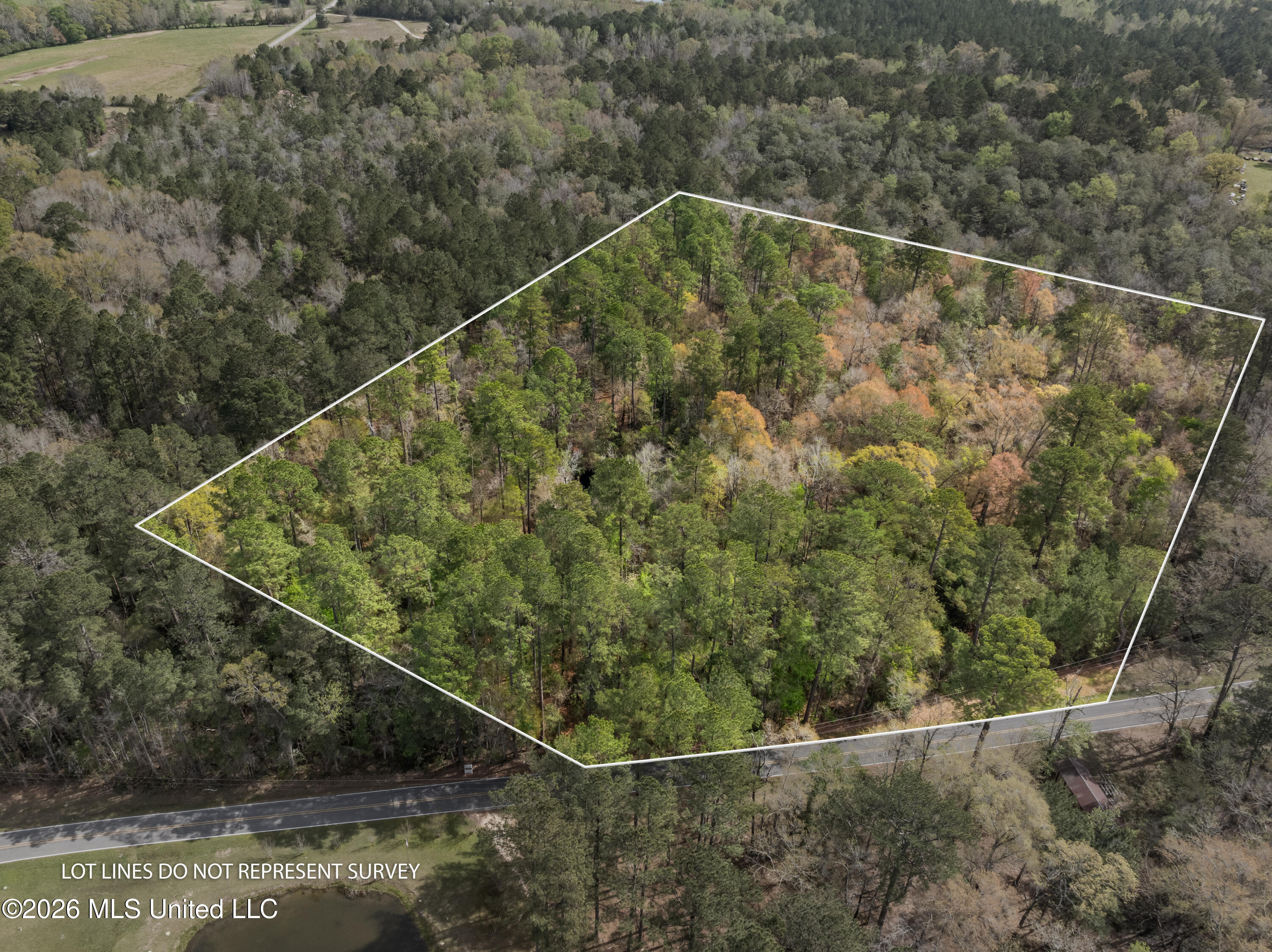 9460 Janice-Brooklyn Road Brooklyn, MS 39425 - Photo 1 of 26 BOUNDARY LINES