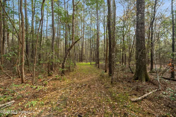 $45,000 | 9460 Janice-Brooklyn Road, Brooklyn, MS 39425