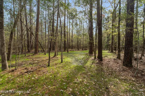 $45,000 | 9460 Janice-Brooklyn Road, Brooklyn, MS 39425