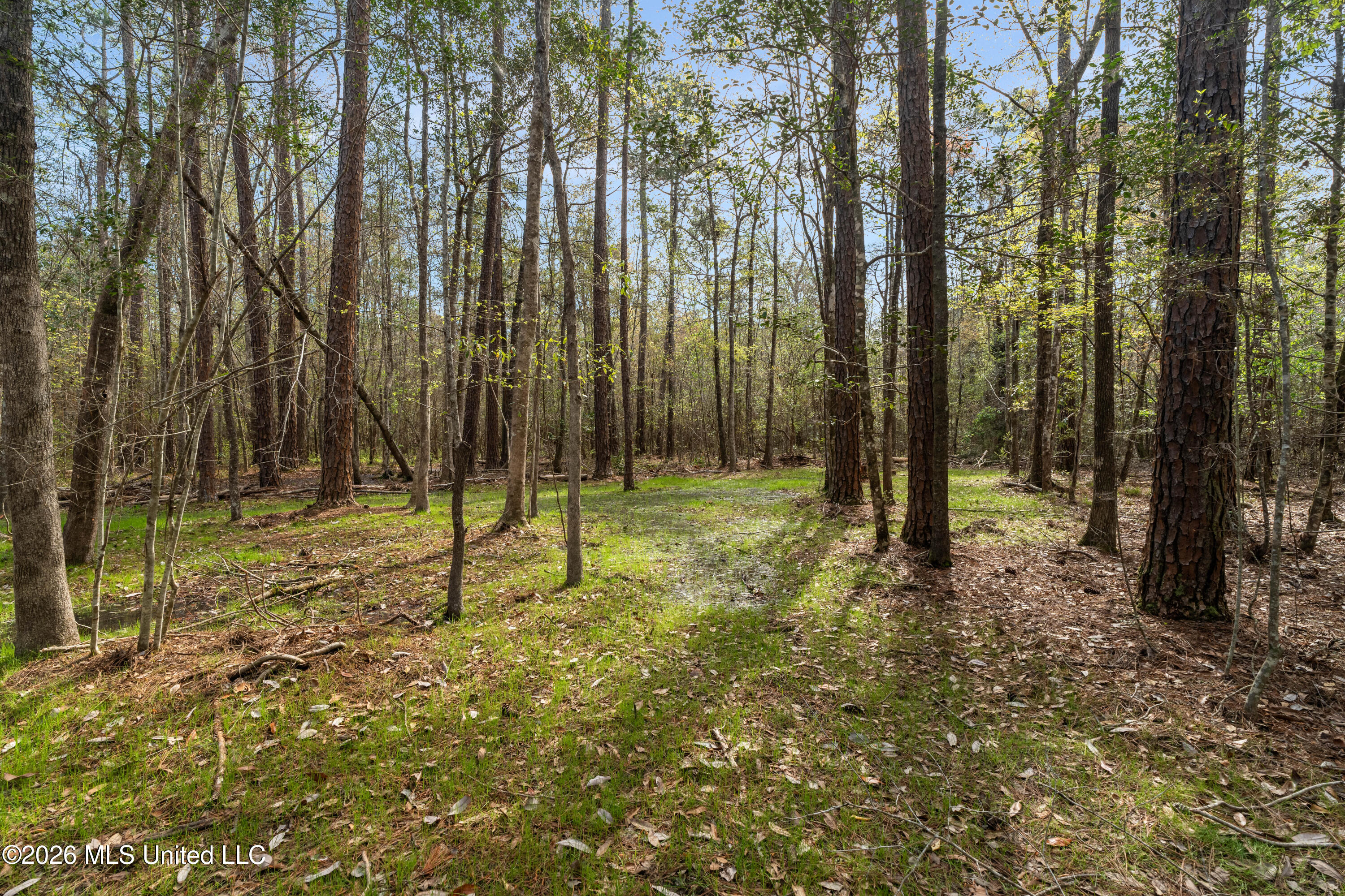 9460 Janice-Brooklyn Road Brooklyn, MS 39425 - Photo 12 of 26 9460_F_S_301-12