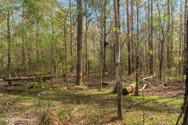 $45,000 | 9460 Janice-Brooklyn Road, Brooklyn, MS 39425
