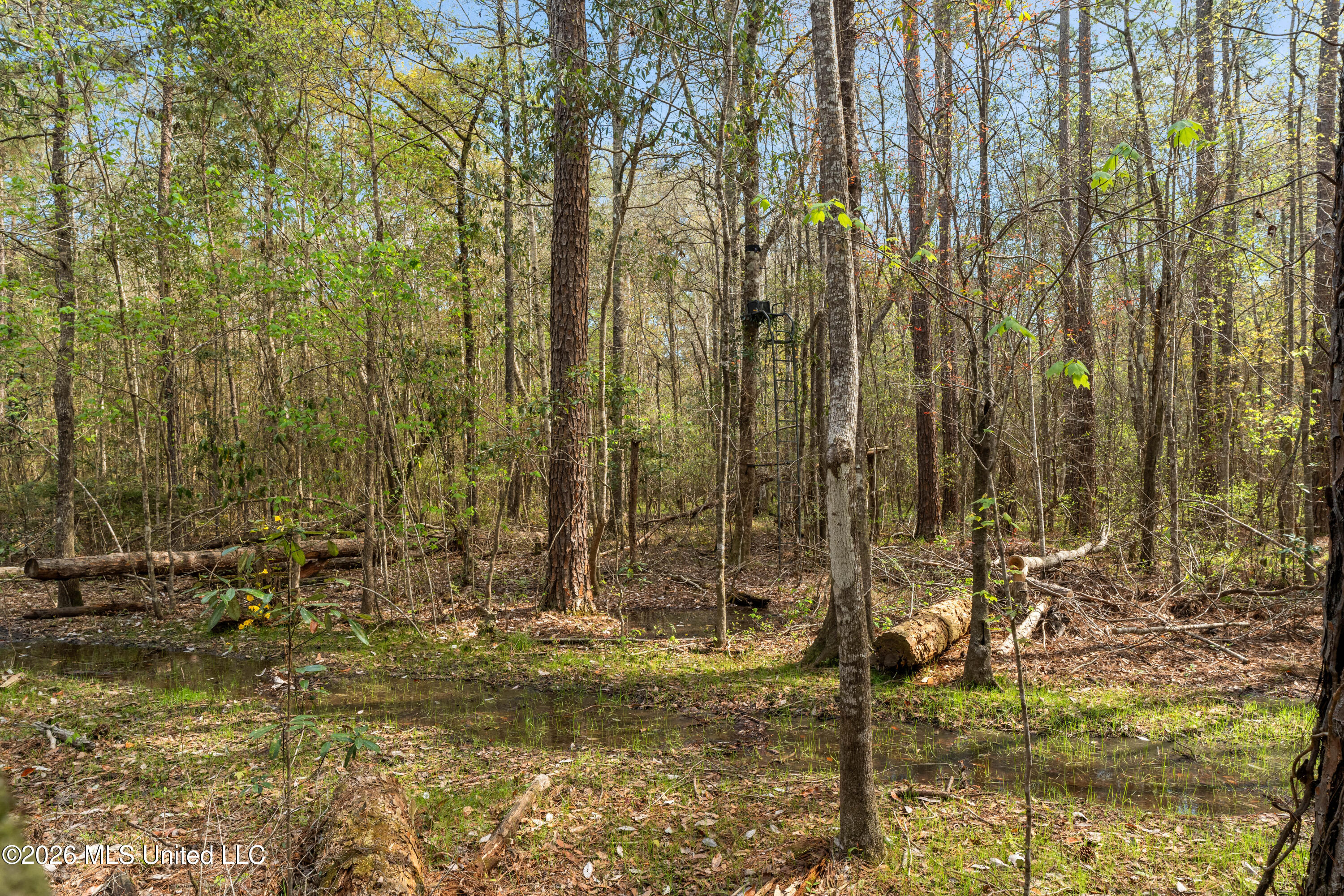 9460 Janice-Brooklyn Road Brooklyn, MS 39425 - Photo 13 of 26 9460_F_S_301-13