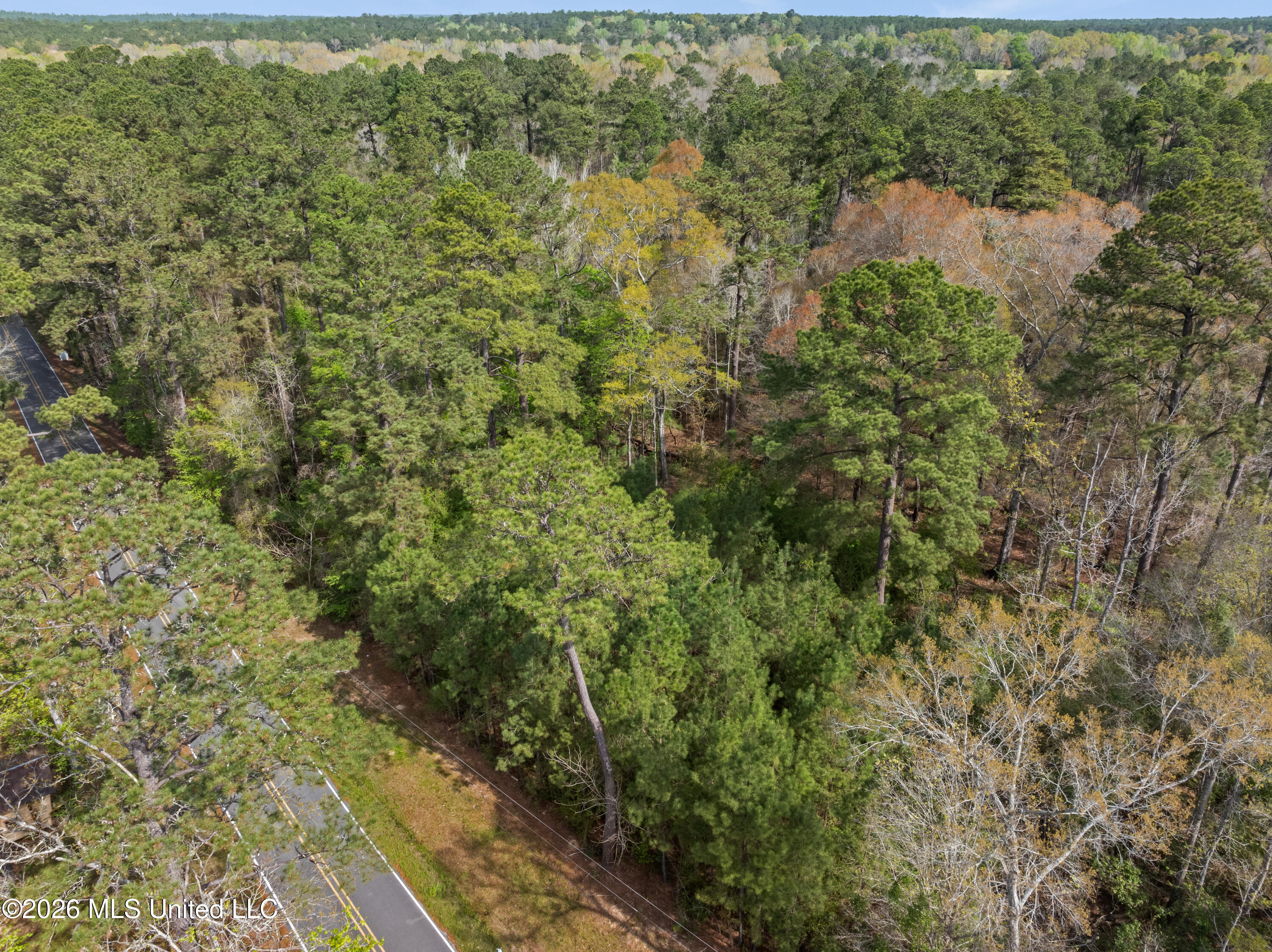 9460 Janice-Brooklyn Road Brooklyn, MS 39425 - Photo 15 of 26 9460_F_S_301-15