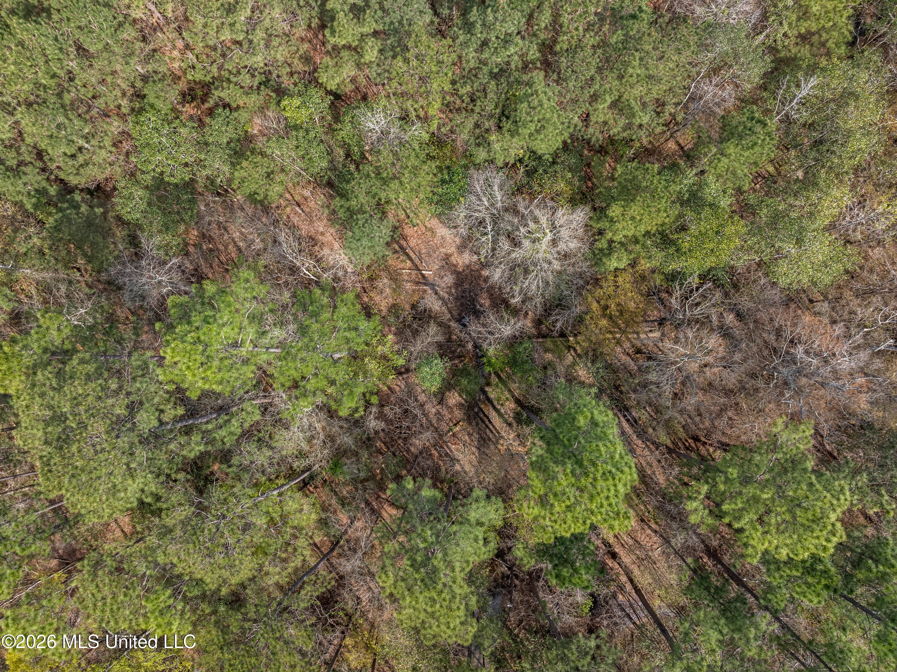 9460 Janice-Brooklyn Road Brooklyn, MS 39425 - Photo 16 of 26 9460_F_S_301-16