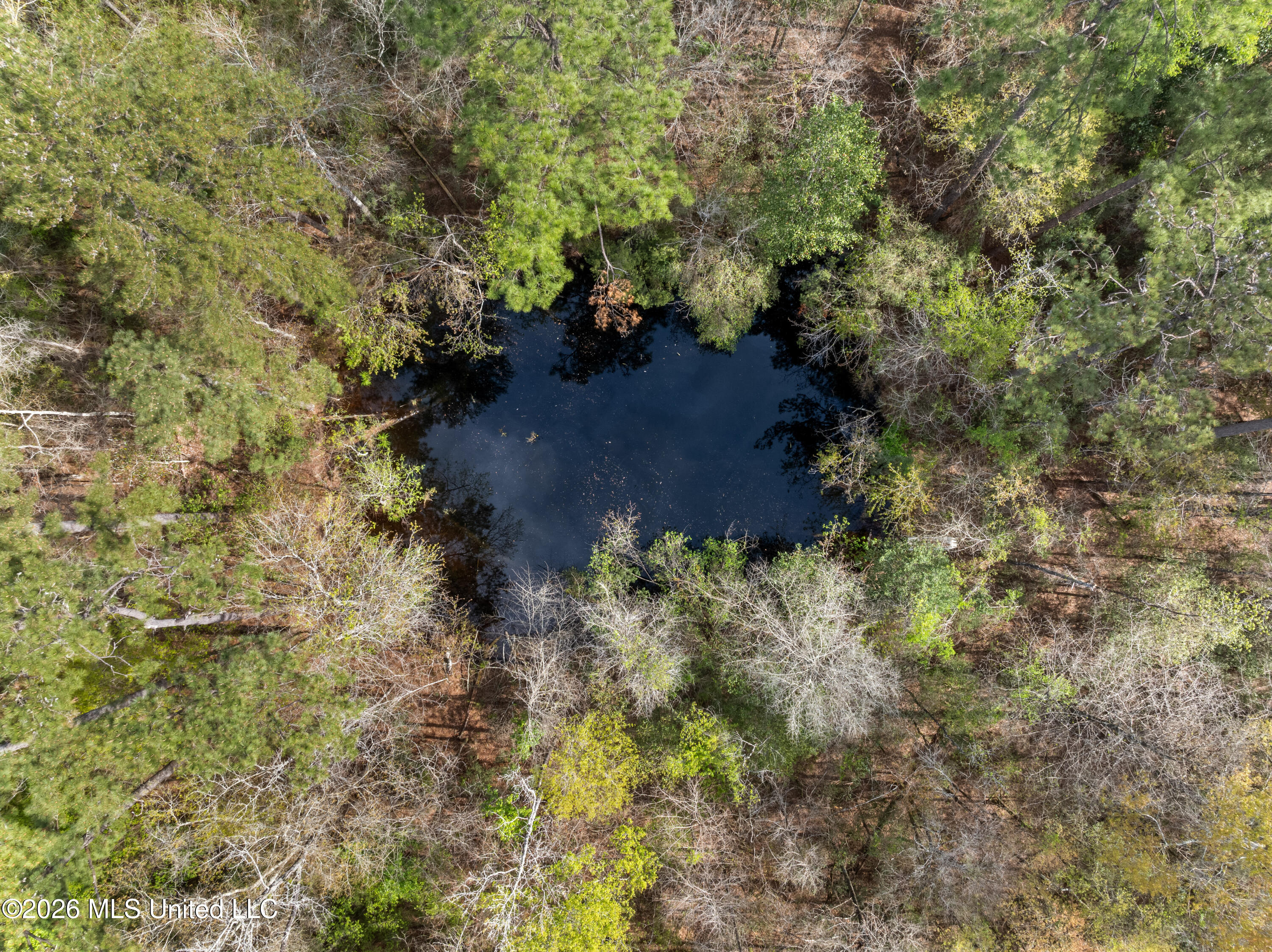9460 Janice-Brooklyn Road Brooklyn, MS 39425 - Photo 17 of 26 9460_F_S_301-17