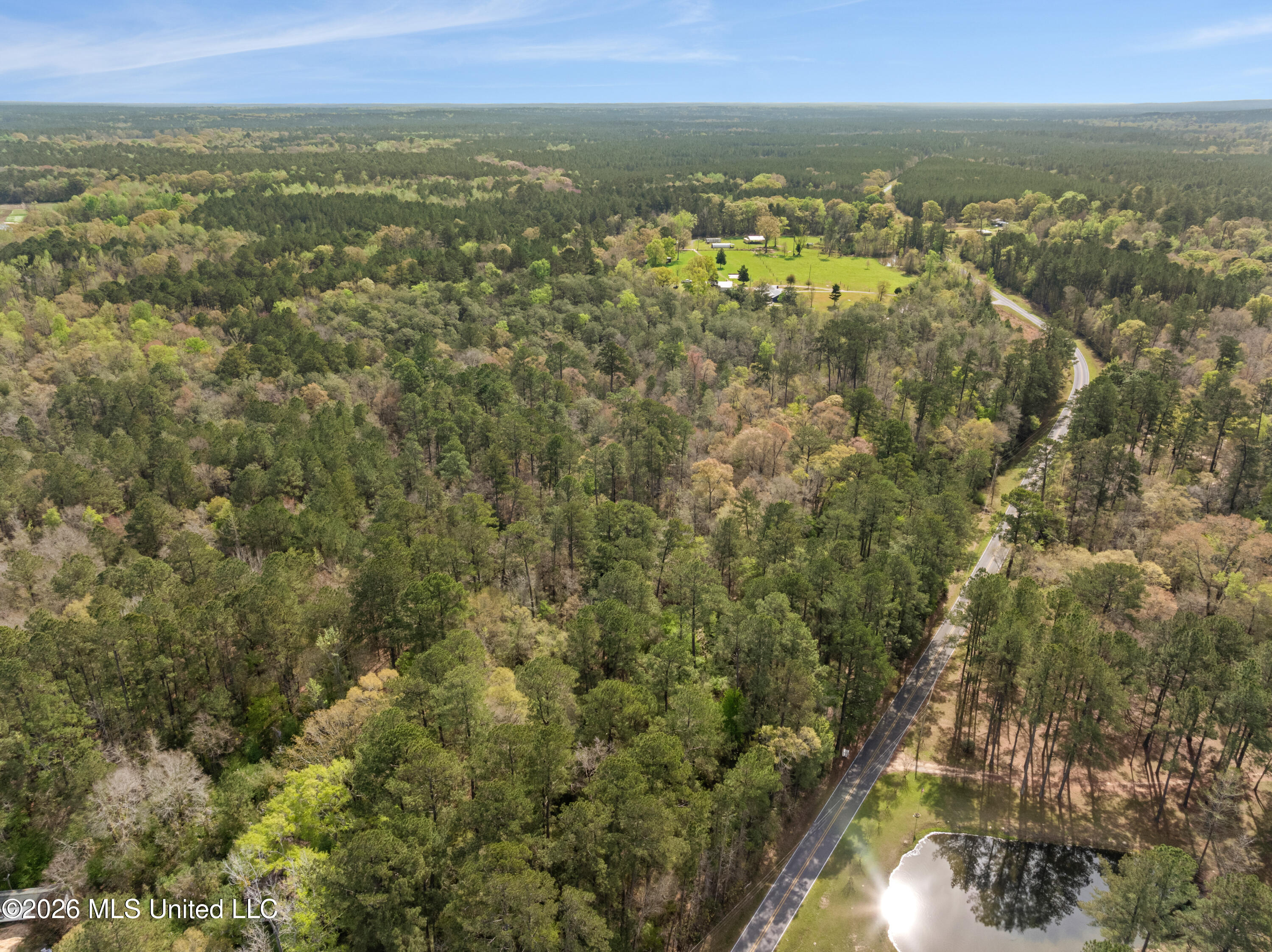 9460 Janice-Brooklyn Road Brooklyn, MS 39425 - Photo 19 of 26 9460_F_S_301-19