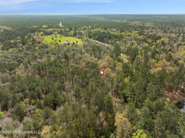 $45,000 | 9460 Janice-Brooklyn Road, Brooklyn, MS 39425
