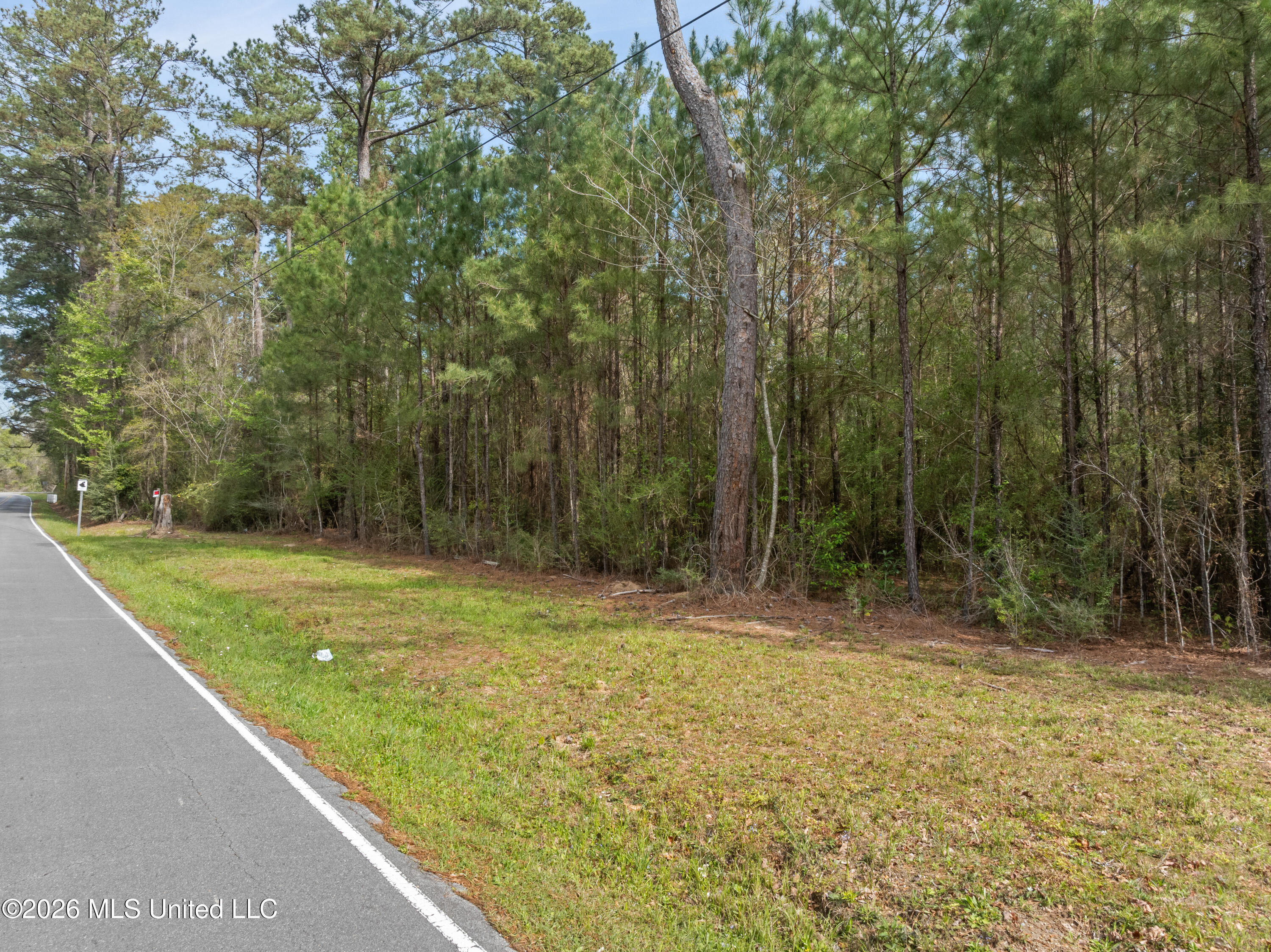 9460 Janice-Brooklyn Road Brooklyn, MS 39425 - Photo 2 of 26 9460_F_S_301-2