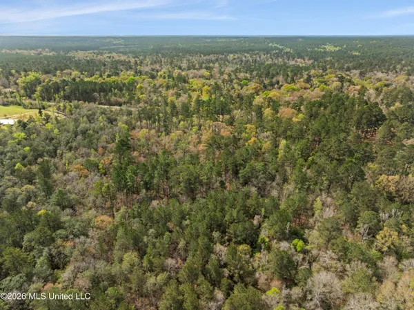 $45,000 | 9460 Janice-Brooklyn Road, Brooklyn, MS 39425