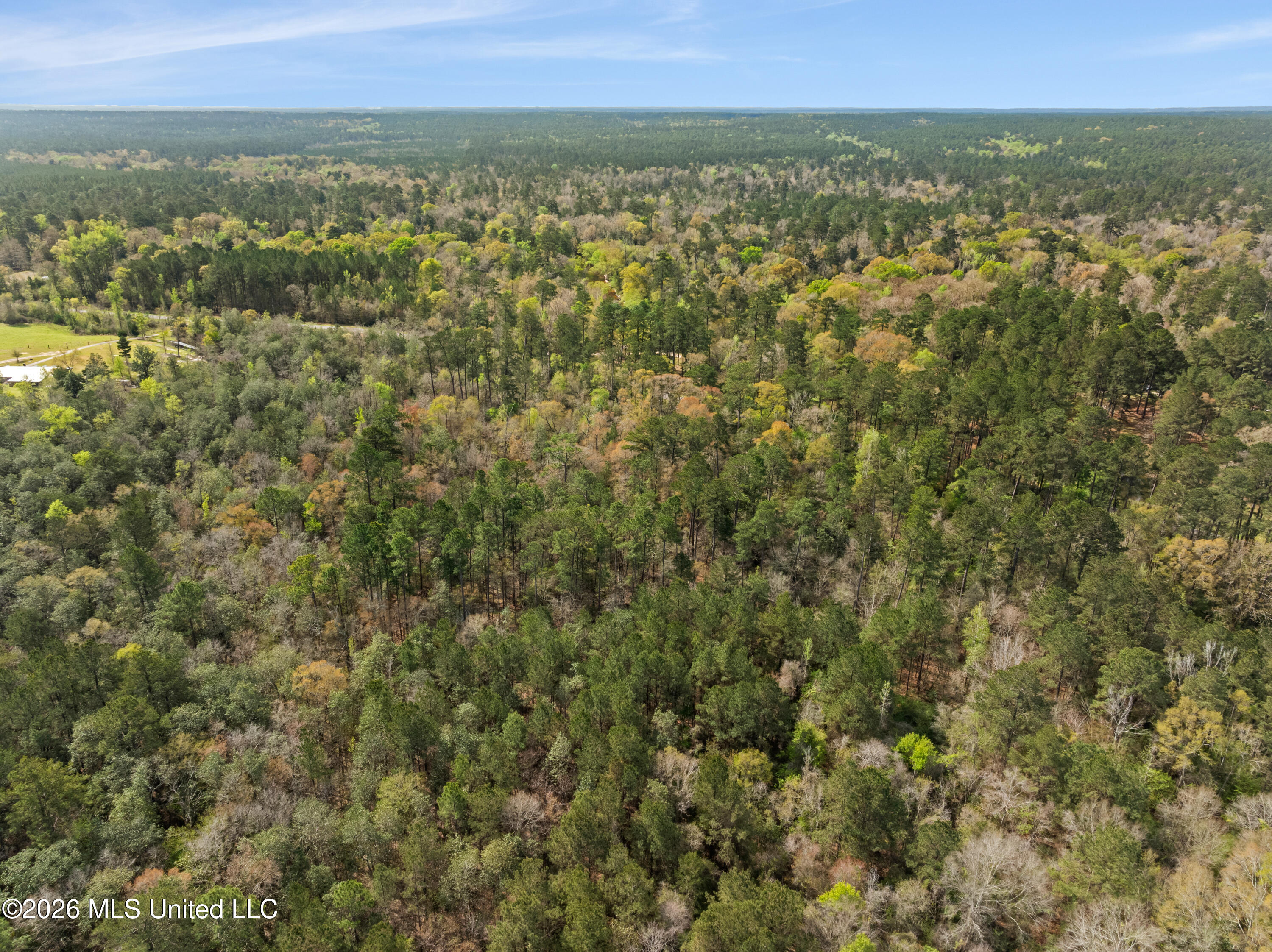 9460 Janice-Brooklyn Road Brooklyn, MS 39425 - Photo 21 of 26 9460_F_S_301-21