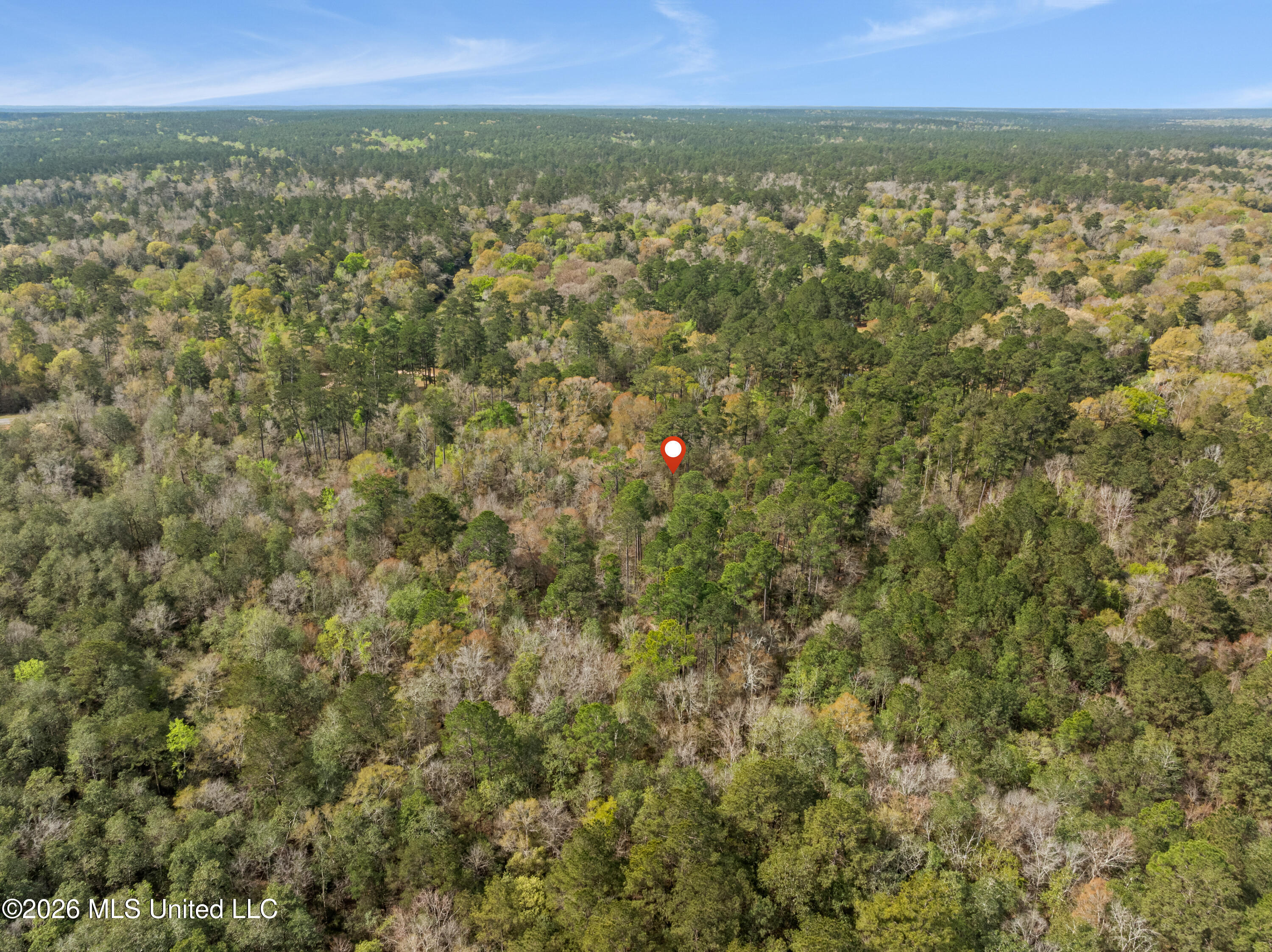 9460 Janice-Brooklyn Road Brooklyn, MS 39425 - Photo 22 of 26 9460_F_S_301-22