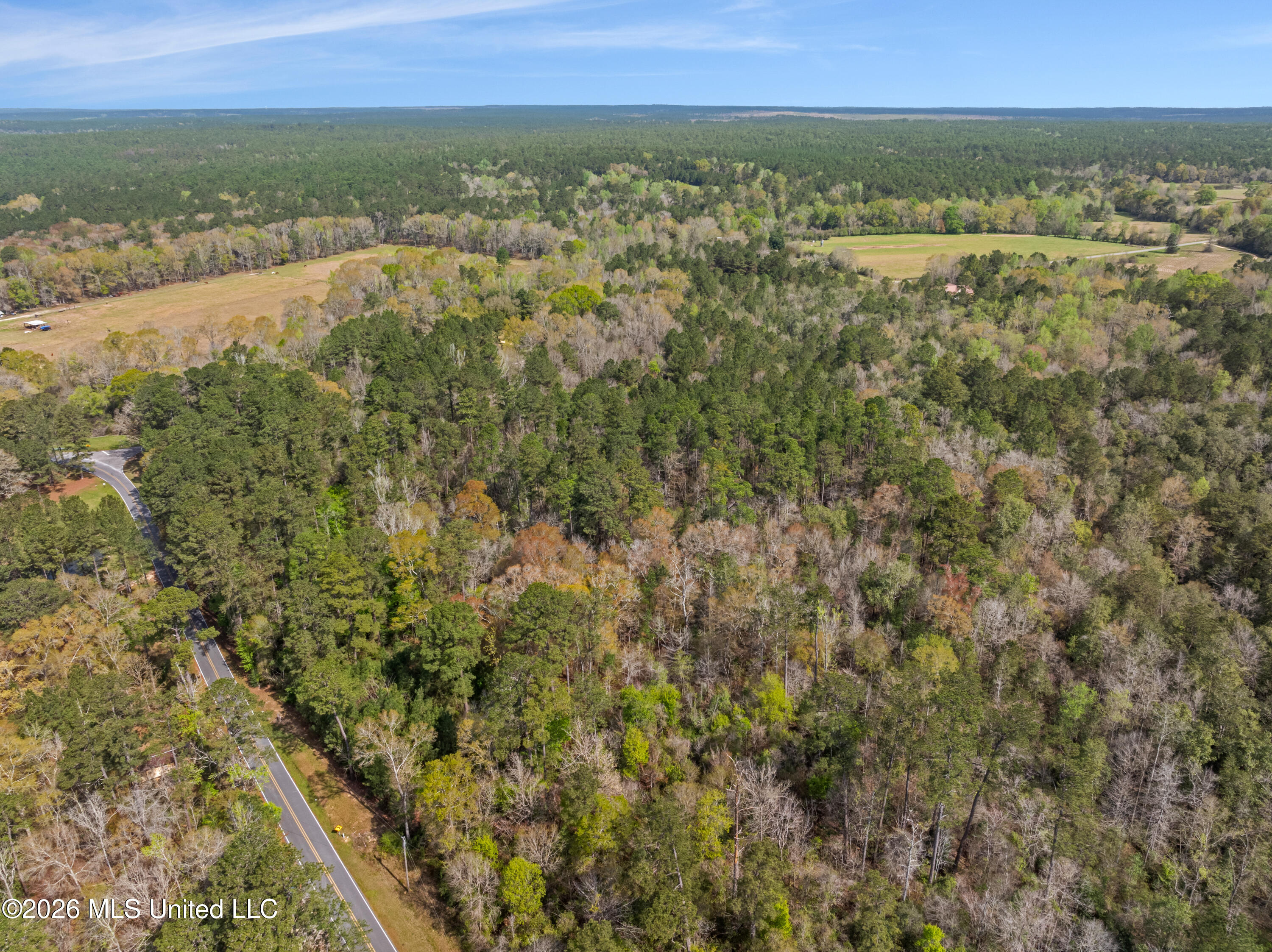 9460 Janice-Brooklyn Road Brooklyn, MS 39425 - Photo 25 of 26 9460_F_S_301-25