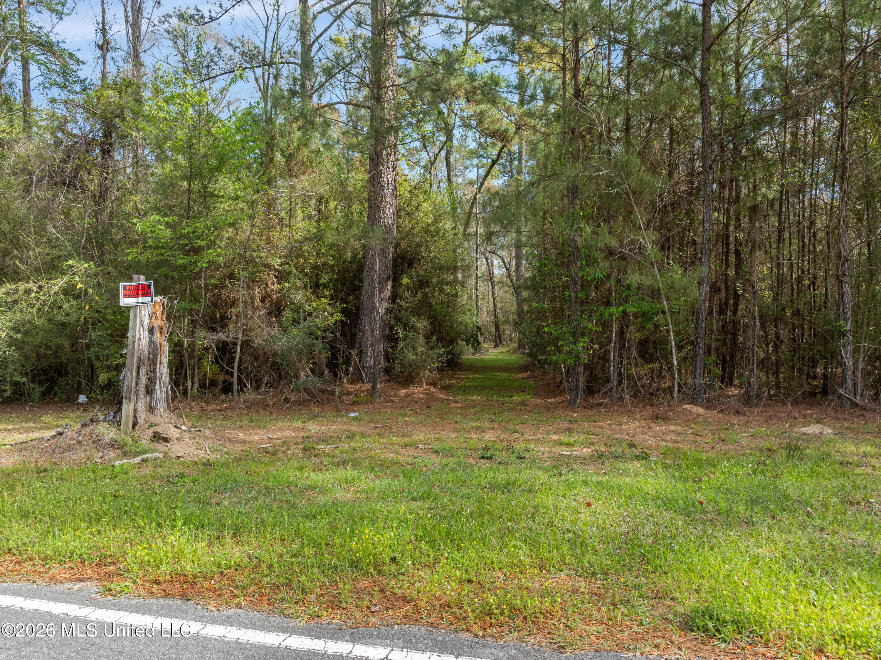 9460 Janice-Brooklyn Road Brooklyn, MS 39425 - Photo 4 of 26 9460_F_S_301-4