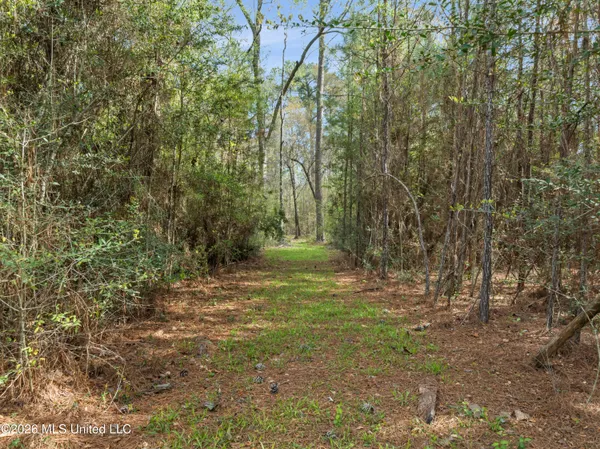$45,000 | 9460 Janice-Brooklyn Road, Brooklyn, MS 39425