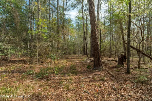 $45,000 | 9460 Janice-Brooklyn Road, Brooklyn, MS 39425