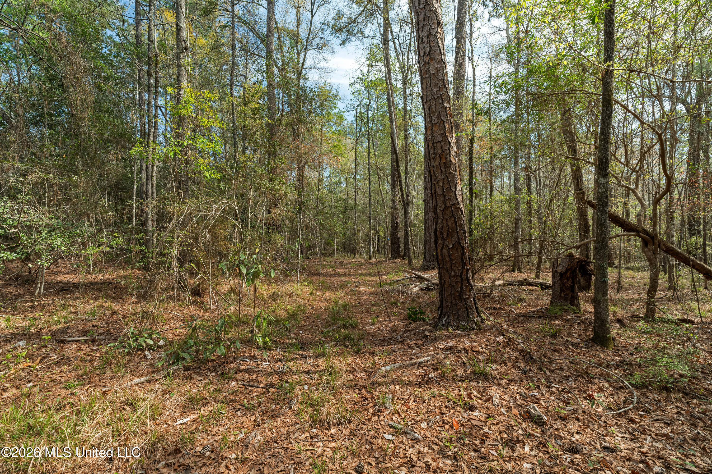 9460 Janice-Brooklyn Road Brooklyn, MS 39425 - Photo 7 of 26 9460_F_S_301-7