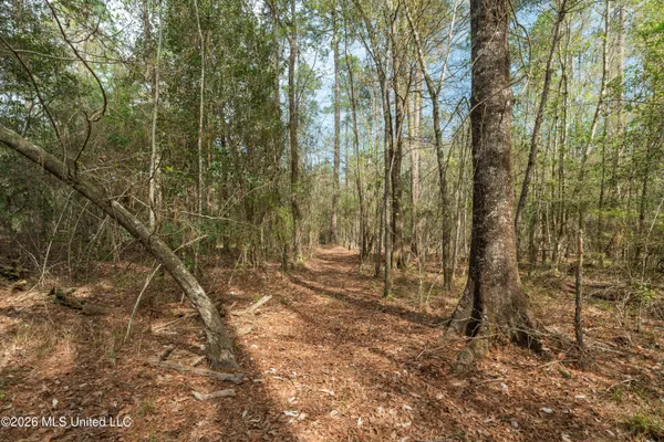 $45,000 | 9460 Janice-Brooklyn Road, Brooklyn, MS 39425