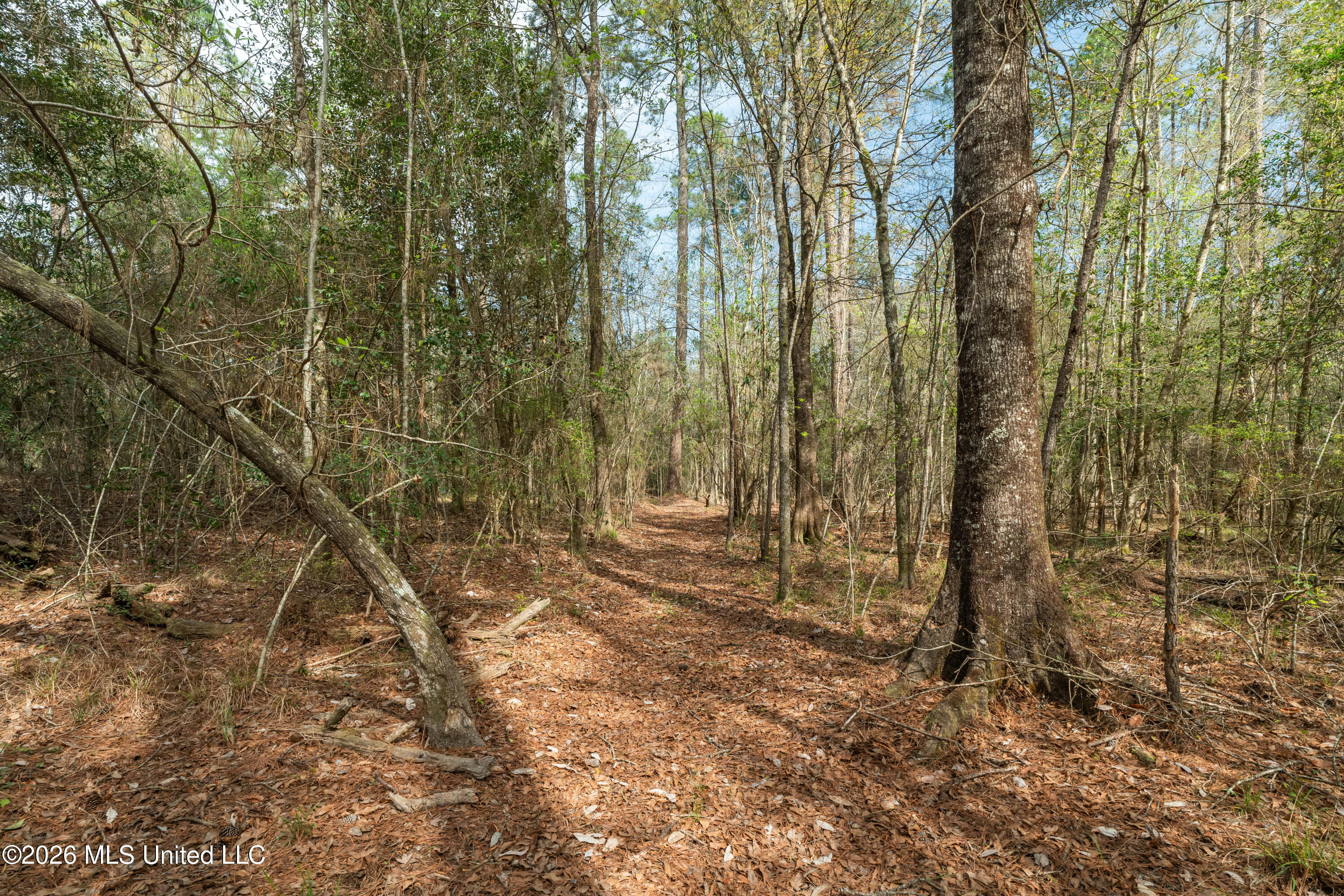 9460 Janice-Brooklyn Road Brooklyn, MS 39425 - Photo 8 of 26 9460_F_S_301-8