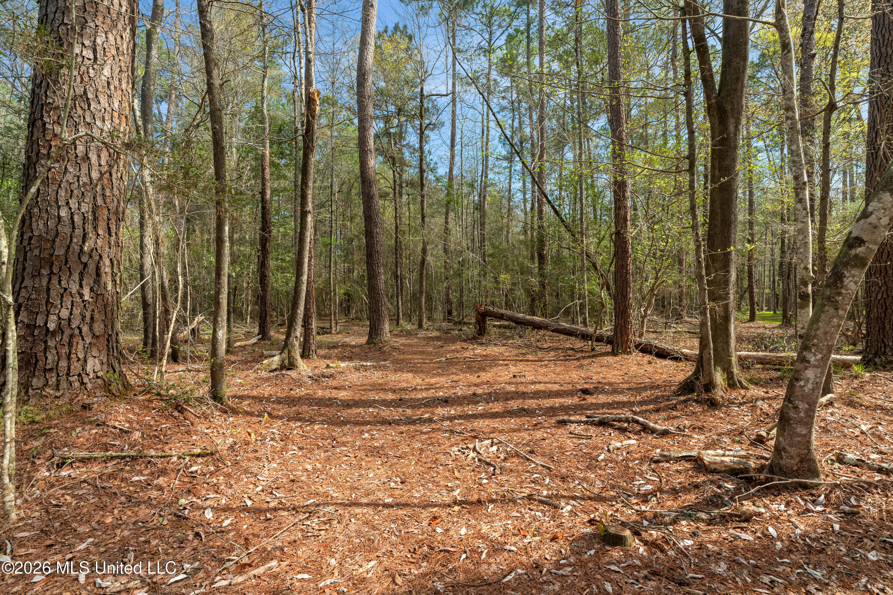 9460 Janice-Brooklyn Road Brooklyn, MS 39425 - Photo 9 of 26 9460_F_S_301-9