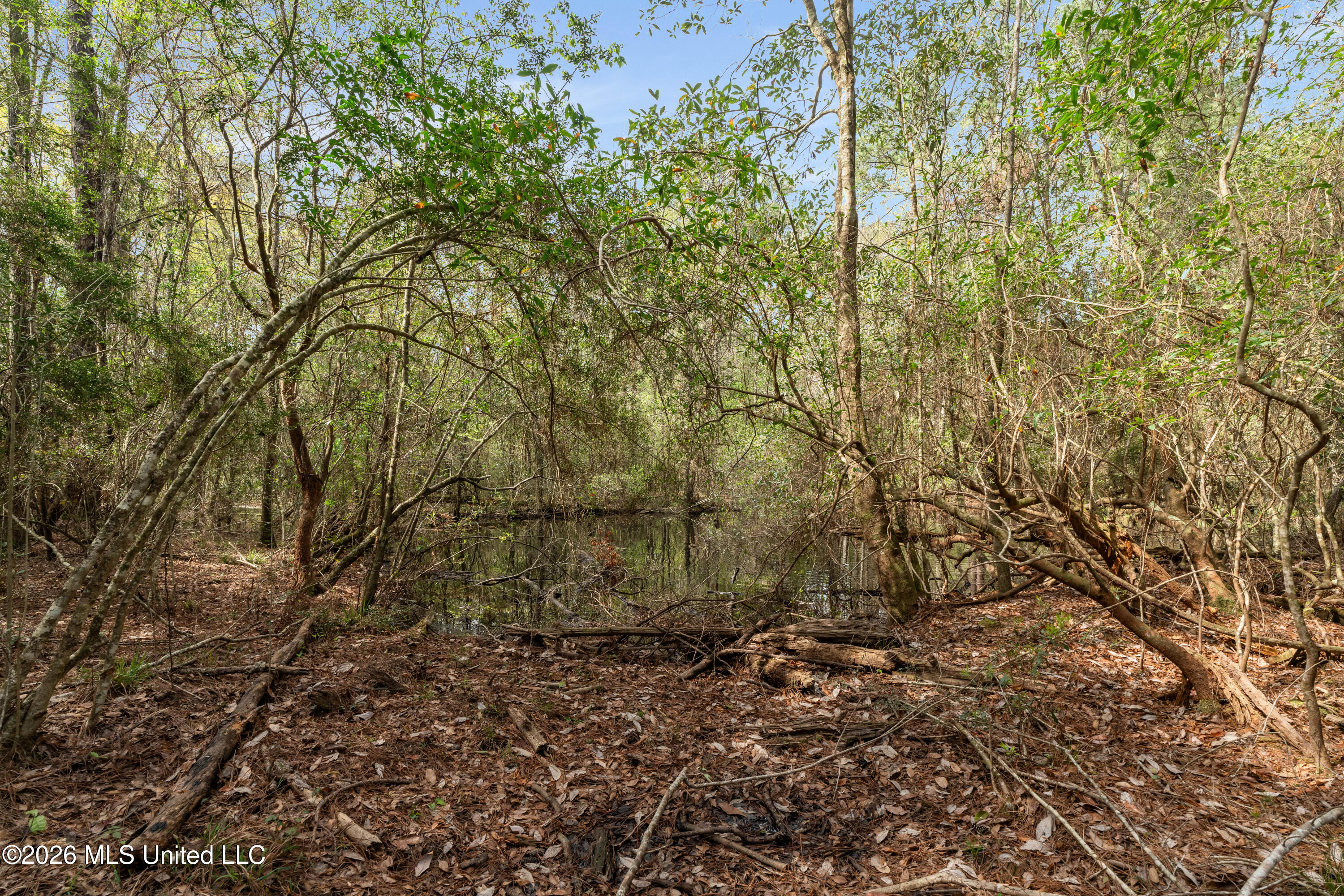 9460 Janice-Brooklyn Road Brooklyn, MS 39425 - Photo 10 of 26 9460_F_S_301-10