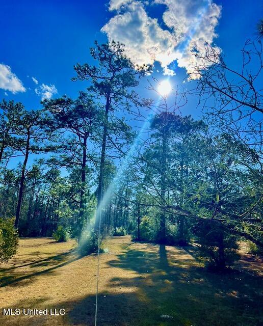 15429 Indian Fork Road Vancleave, MS 39565 - Photo 21 of 63 3rd Pond area