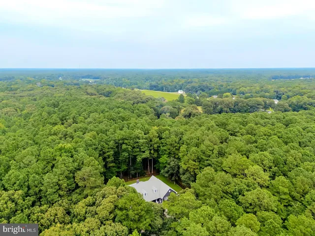 $2,200,000 | 22095 Wilson Road, Georgetown, DE 19947