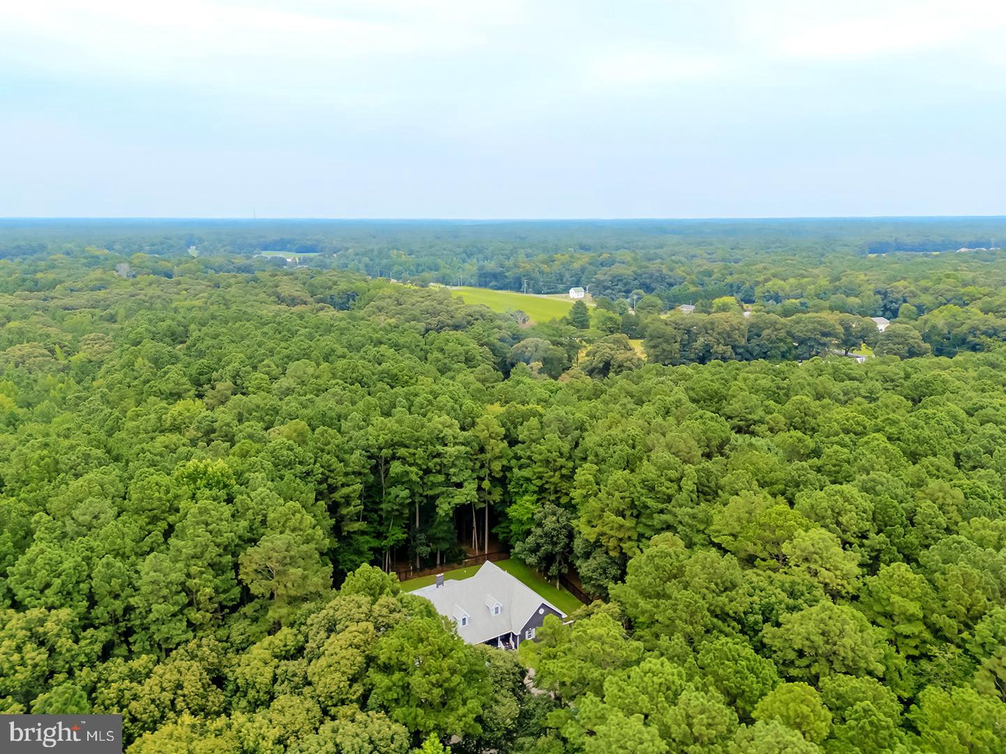 22095 Wilson Road Georgetown, DE 19947 - Photo 123 of 137