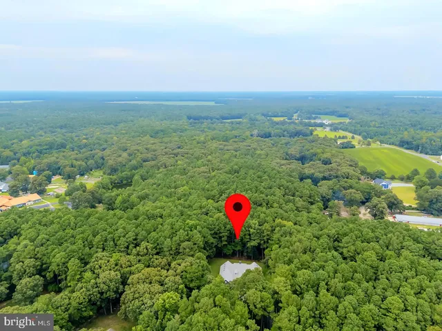 $2,200,000 | 22095 Wilson Road, Georgetown, DE 19947