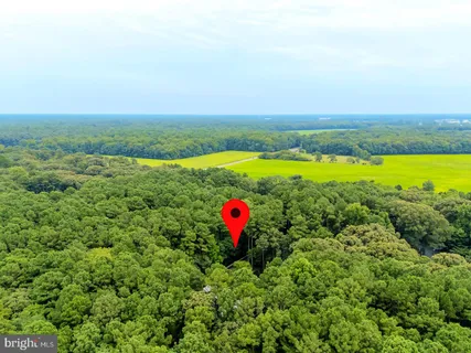 $2,200,000 | 22095 Wilson Road, Georgetown, DE 19947